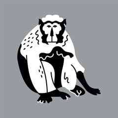 Hand drawn macaque color concept. Children's character.
