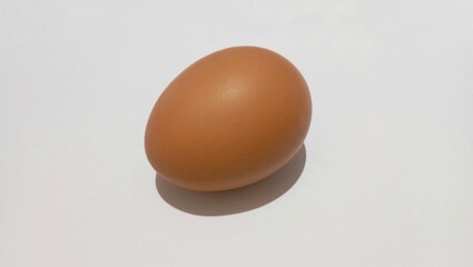 One Egg On White Background