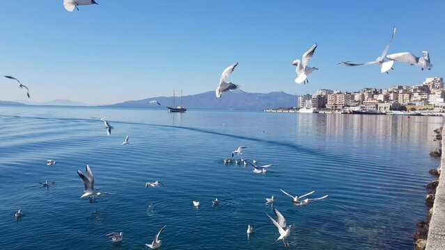 Seagulls and boats on the sea. Saranda View.