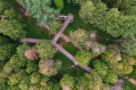 Kam, Hungary - Aerial top down view about the Jeli Arboretum canopy walkway