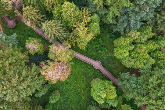 Kam, Hungary - Aerial top down view about the Jeli Arboretum canopy walkway