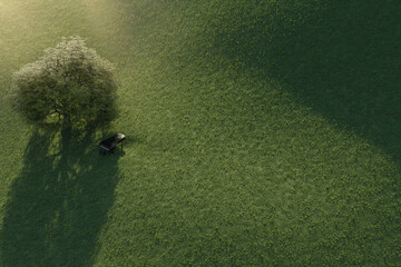 3D rendering of grand piano on grass hill next to common oak tree in the evening sunlight