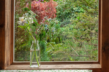 colorful flower in glass vase on old wooden windowsill with autumn garden behind