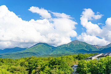 Obraz premium 夏の北海道美瑛・富良野 白ひげの滝(白金)から見た十勝岳連峰