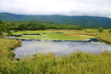 知床五湖・一湖（北海道・斜里町）