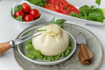 Sliced Italian cheese burrata is served on a round plate with basil and tomatoes with a fork and knife on the background of an old tree