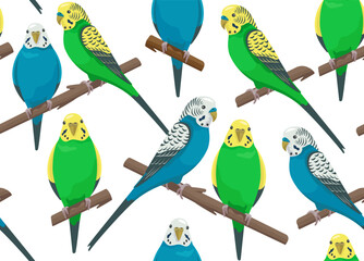 Vector tropical seamless pattern with love parrots. Cartoon cute blue and green budgerigars sitting on branch. Talking bright budgie family. Creative style summer beach print - obrazy, fototapety, plakaty