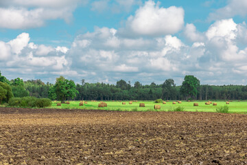 Beautiful summer rural landscape in a green meadow with hay rolls and forest in the background and blue cloudy sky