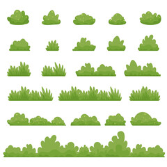 Shrubs and green bushy plants cartoon. Bush of different shapes park plants set. Vector flat cartoon illustration isolated on white. © Olena