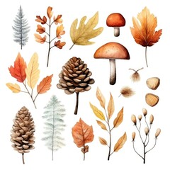 set of watercolor leaves mushrooms and berries on white