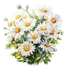 Obraz premium Bouquet of watercolor daisy flowers. Many chamomiles with leaves
