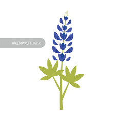 bluebonnet flower design vector illustration