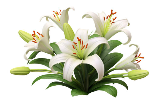 Lily Flower 3D isolated on transparent background, Generative Ai