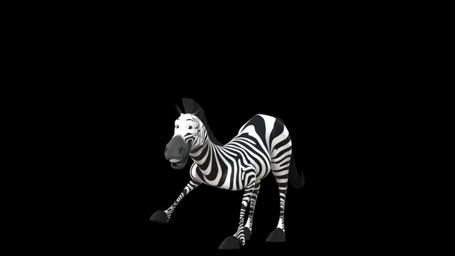 3D Happy Zebra, Constantly Talking To The Camera, Lifting Its Right And Left Legs To Make Animated Postures On Transparent Background