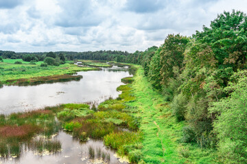 Fototapeta na wymiar Rural landscape with river, reeds, forest and blue cloudy sky