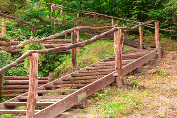 natural wooden stairs in the middle of the forest with railings