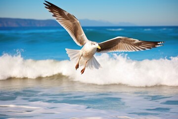a seagull soaring above the ocean waves