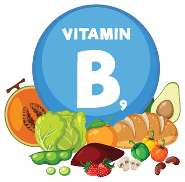 Group of Food: Fruits and Vegetables Rich in Vitamin B9