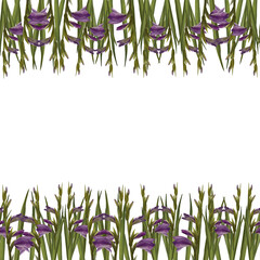 Watercolor gladioluses seamless banner, pattern. Floral frame with violet flowers, buds, leaves. Hand painted isolated illustration on white background Design for wedding, invitations, greeting cards