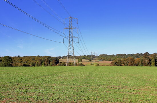 Electiricty Pylons in an English Landscape
