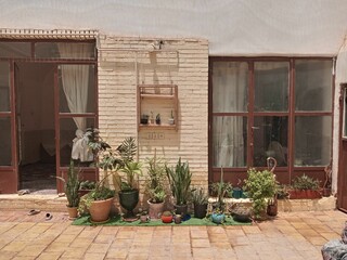 Fototapeta na wymiar many potted plants are sitting on a brick patio in front of an old white