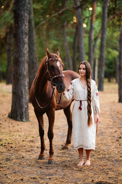 Beautiful extra long braided hair girl in Ukrainian traditional dress posing with horse in forest . Portrait of young attractive stylish woman on colorful warm background.