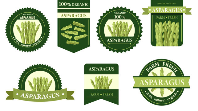 Asparagus label. Organic asparagus product sticker, vegetarian food symbols for packaging design, farm market concept. Vector flat set