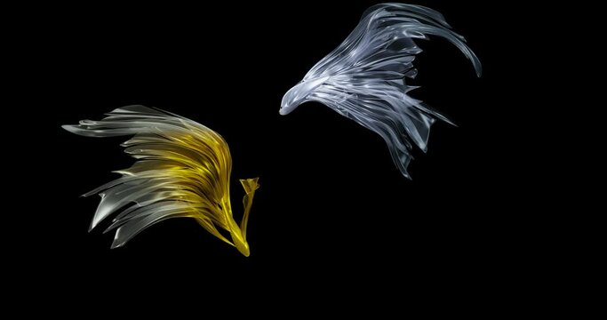 Gold and silver, white fighting fish swimming together or fighting. On a black background. beautiful pets Types of aquatic animals. small beautiful fish with Unique long fin 3D rendering	

