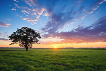 Fototapeta na wymiar a peaceful sunset landscape captured across vast country fields