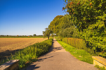 Ein Weg mit Feldern und Bäumen bei Sonnenschein.
