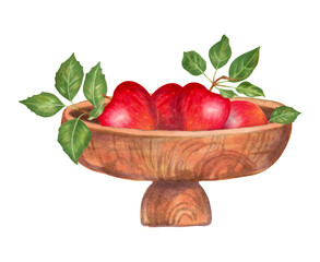 Wooden bowl with red apples and green leaves.Natural food fruits. Botanical artwork.Watercolor and markers.Hand drawn isolated art.