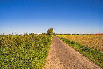 Ein gerader und einsamer Weg durch das flache Land mit Feldern.