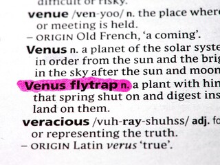 venus fly trap