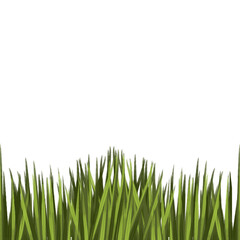 Fototapeta premium Illustration of organic fresh green grass for decoration