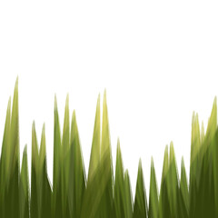 Illustration of organic fresh green grass for decoration