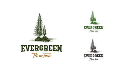 Hand Drawn Pine tree vintage logo, evergreen fir vector illustration design