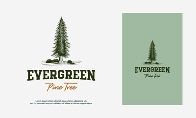 Fototapeta na wymiar Hand Drawn Pine tree vintage logo, evergreen fir vector illustration design