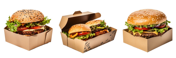 Hamburger in a box, take away food, different versions, isolated