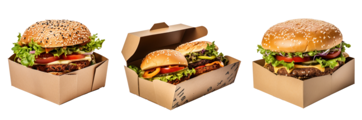 Hamburger in a box, take away food, different versions, isolated
