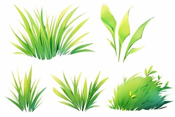 Fototapeta na wymiar Set of green and gold grass and stem hand painted watercolor illustration.