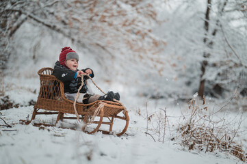 A little boy 2-3 years old in a hat with earflaps and a fur coat rides on a retro sleigh in a...