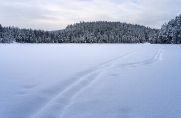 Fototapeta na wymiar Blue calm winter landscape of a frozen lake in Repovesi National Park, Finland.