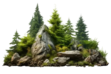 Fotobehang Cutout rock or stone surrounded by fir trees isolated on a transparent background , Decoration garden design © Atchariya63