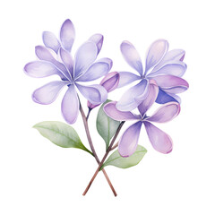 Lilac watercolor isolated, generative ai