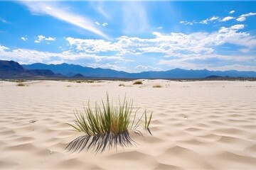 a desert landscape with sand dunes and cactus plants