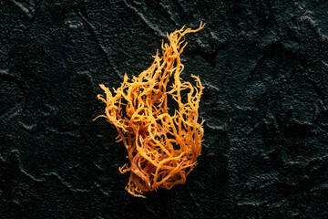 Irish sea moss. Chondrus Crispus, healthy organic raw seaweed, a close-up on a black slate background