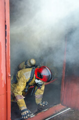 fire in the fireplace, fireman with fire extinguisher.