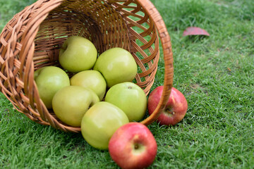 basket of apples