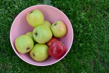 apples in the basket