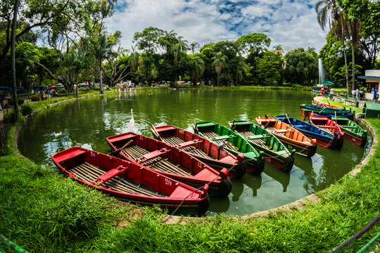 Barcos no lago do Parque municipal de Belo Horizonte, Minas Gerais